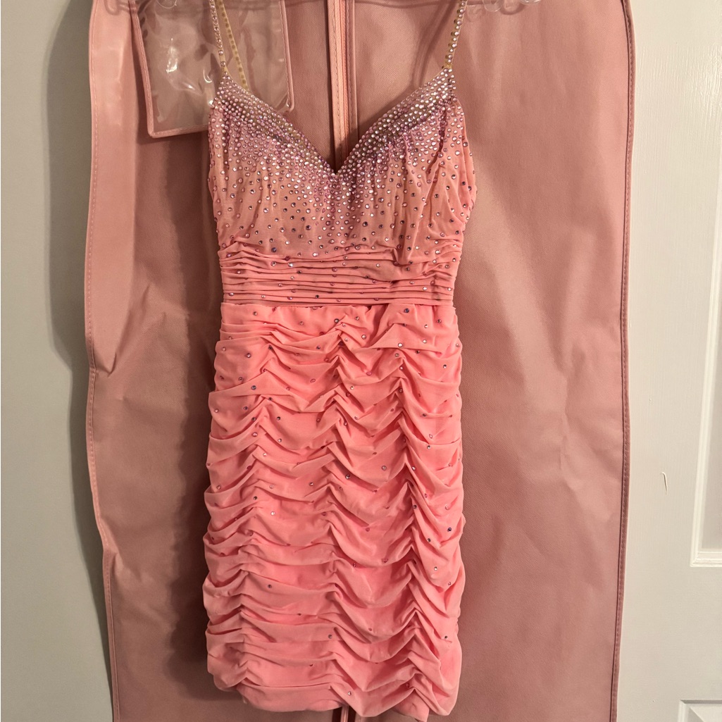 Ashley Lauren Pink Dress  Brand New